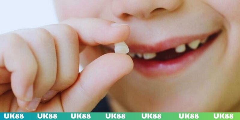 Con số tìm được chỉ là gợi ý không chính xác 100%